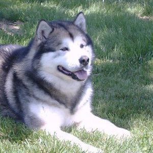 Meet your Posher, Mary jean